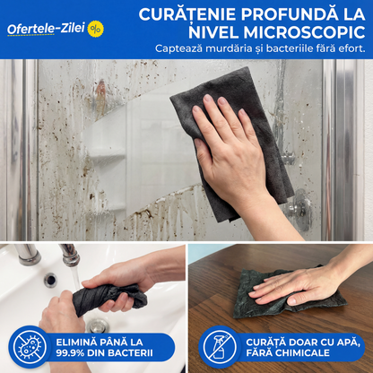 Laveta din Fibră Abrazivă (5+5 Gratis)