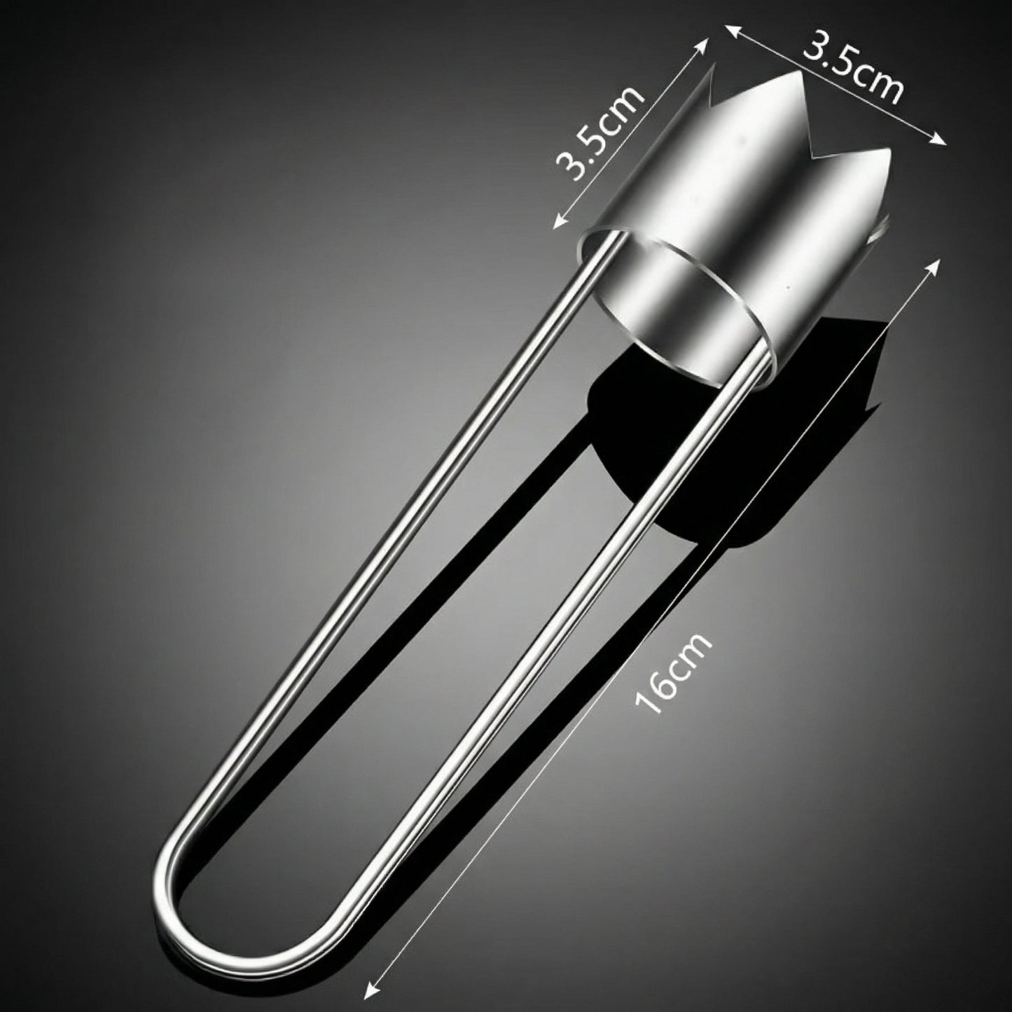 Extractor de Semințe din Oțel Inoxidabil