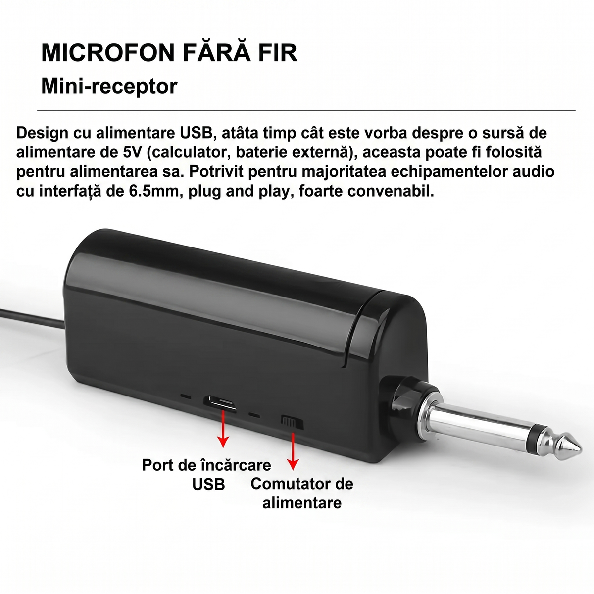 Set Microfoane Wireless Dinamice cu 2 Microfoane și Accesorii