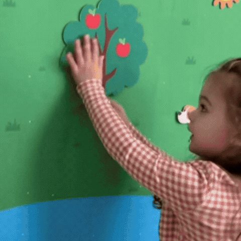 Jucărie Educațională Montessori Animale de Fermă din Pâslă