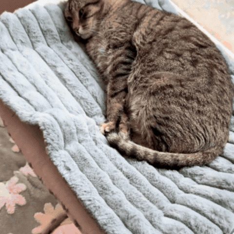 Pătuț pentru Animale cu Funcție de Auto-Încălzire