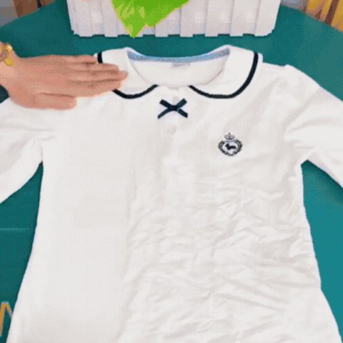 Fier de Călcat Portabil