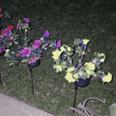 Set de Felinare Decorative pentru Grădină Tip Floare