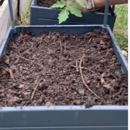 Ghiveci cu Sistem de Udare Automată pentru Plante Cățărătoare